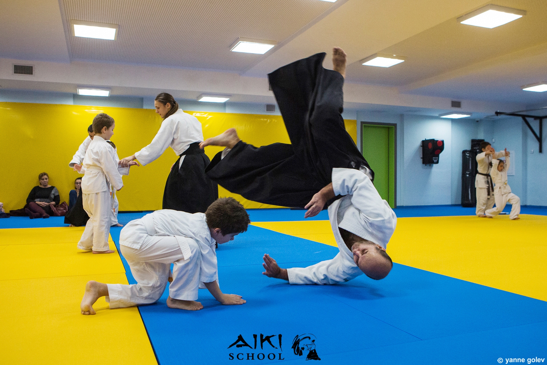 Aikido seminars
