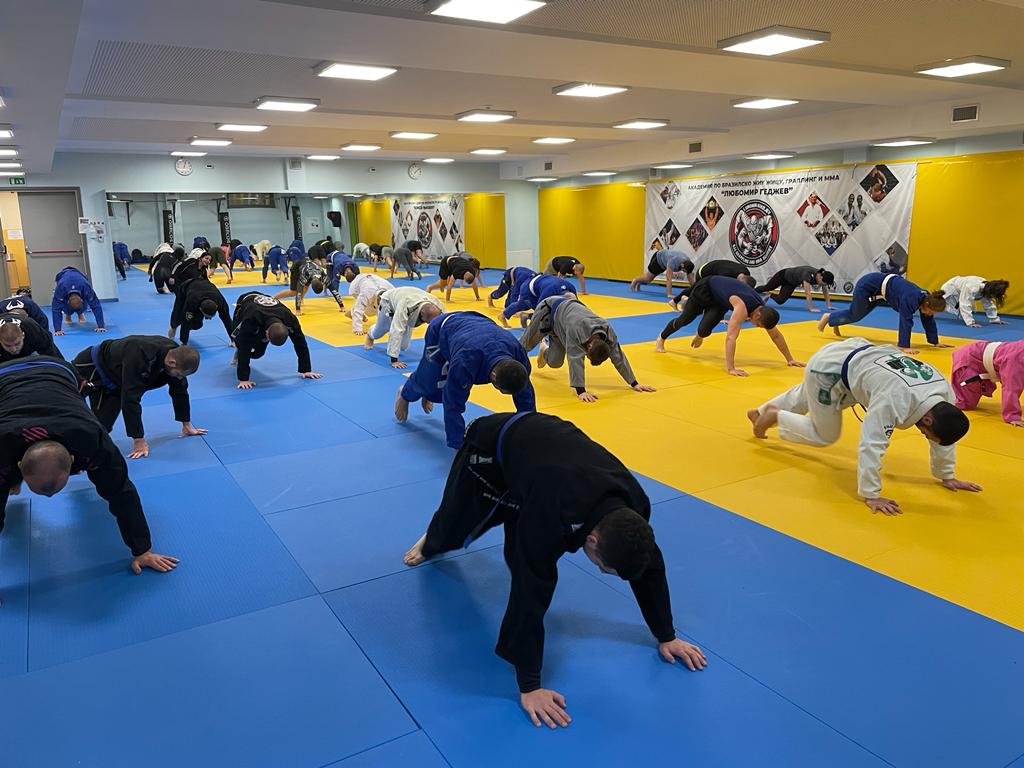 Бразилско Жиу Жицу